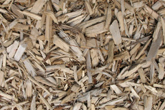 biomass boilers Lupin