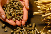 free Lupin biomass boiler quotes